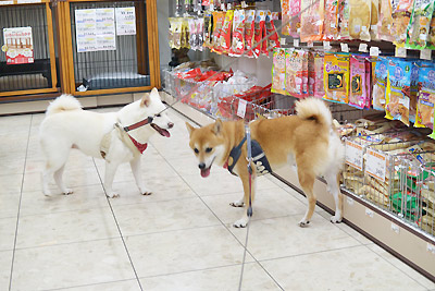 http://www.juli-ben.com/weblog-j/2014/08/24/DSC_1174.jpg